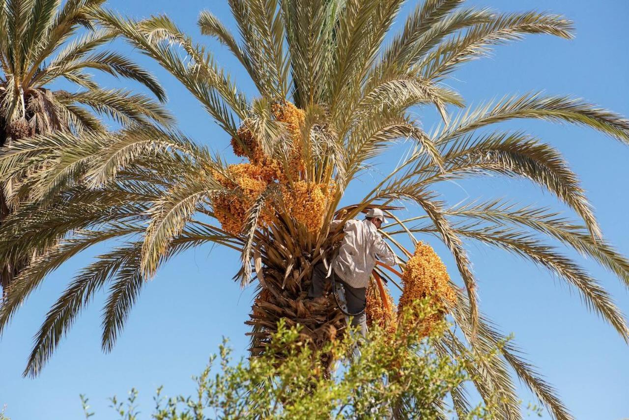 Maison Etoile Du Desert Tighmert Ngoại thất bức ảnh