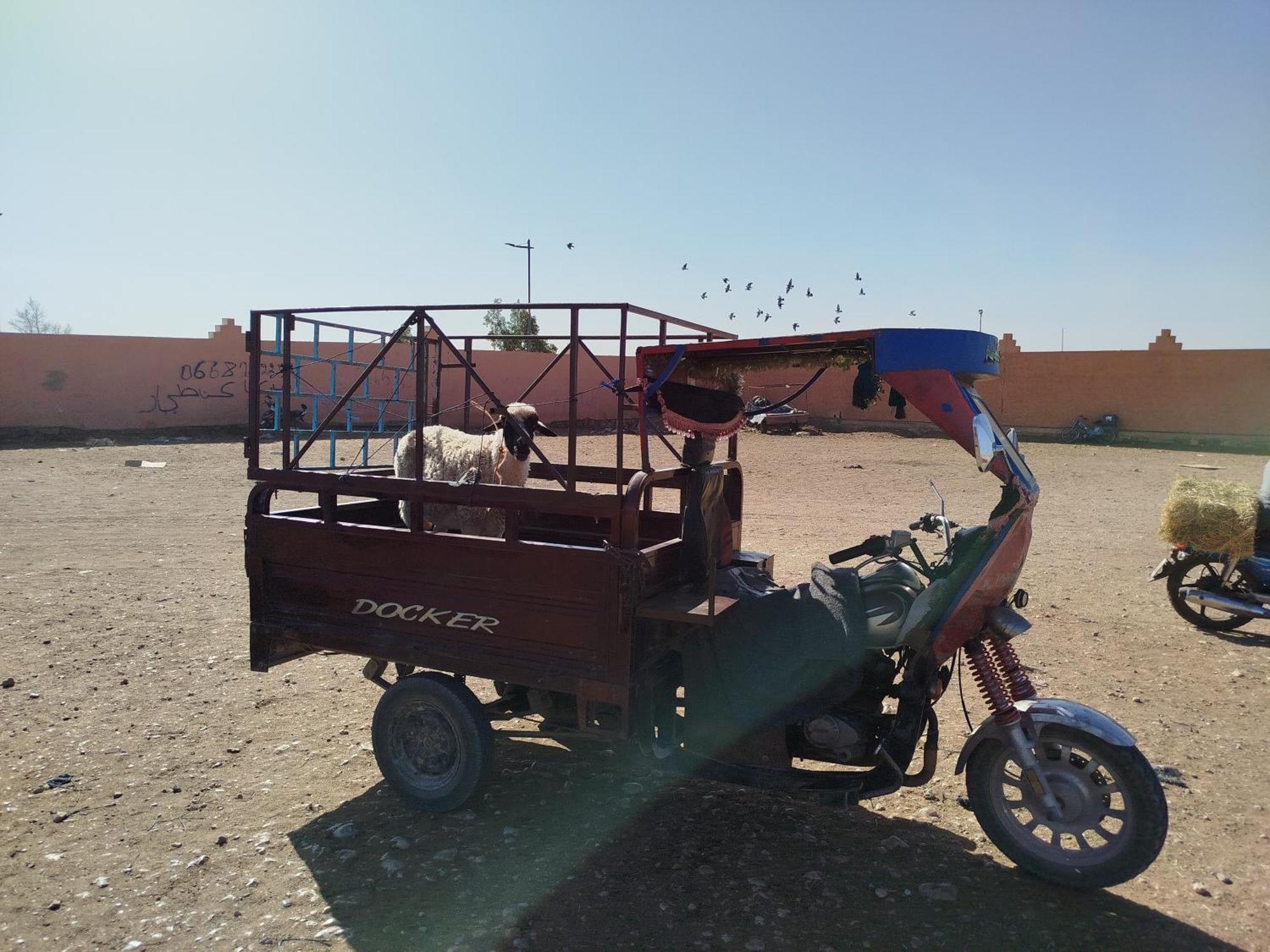 Maison Etoile Du Desert Tighmert Ngoại thất bức ảnh