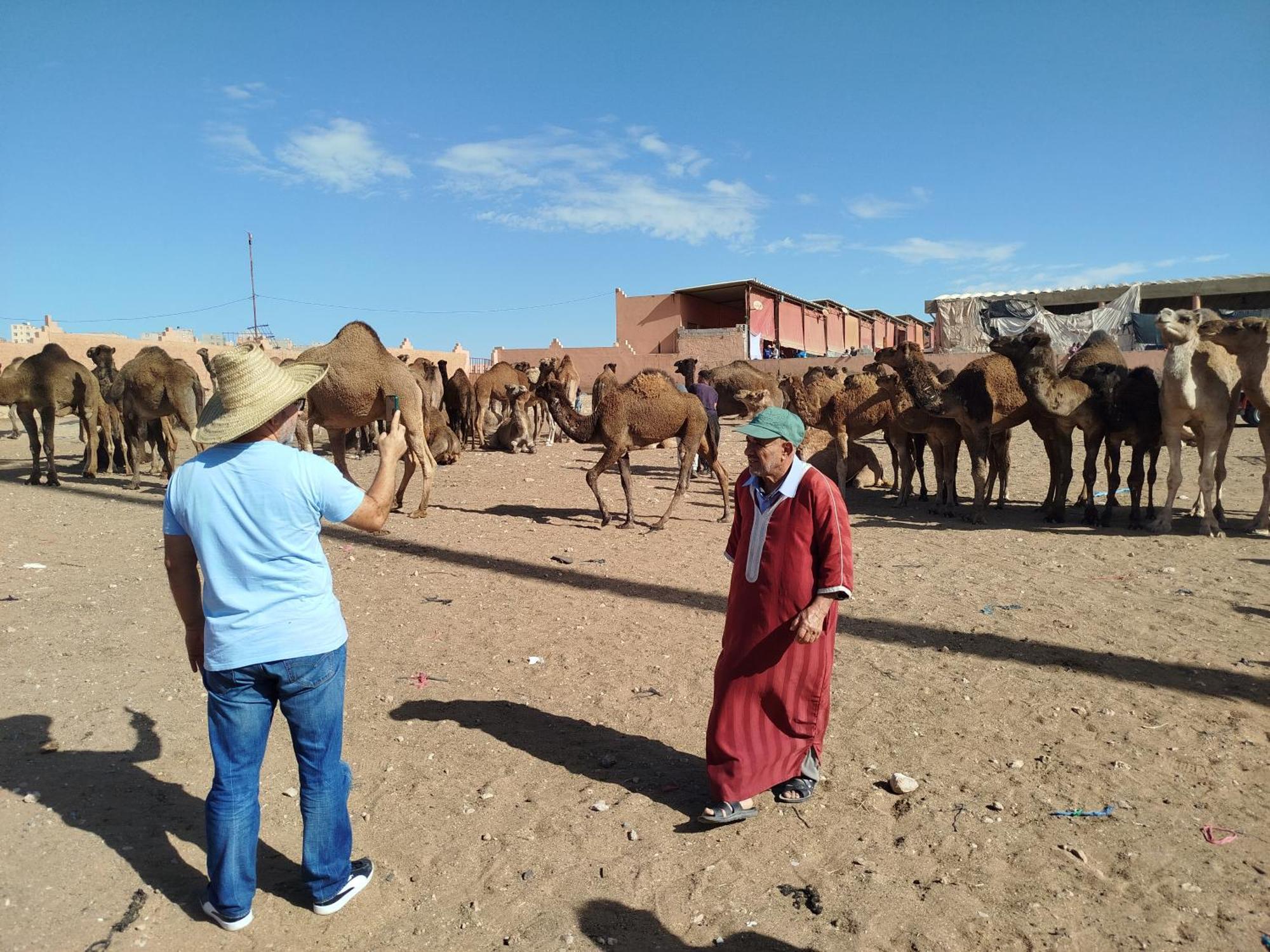 Maison Etoile Du Desert Tighmert Ngoại thất bức ảnh